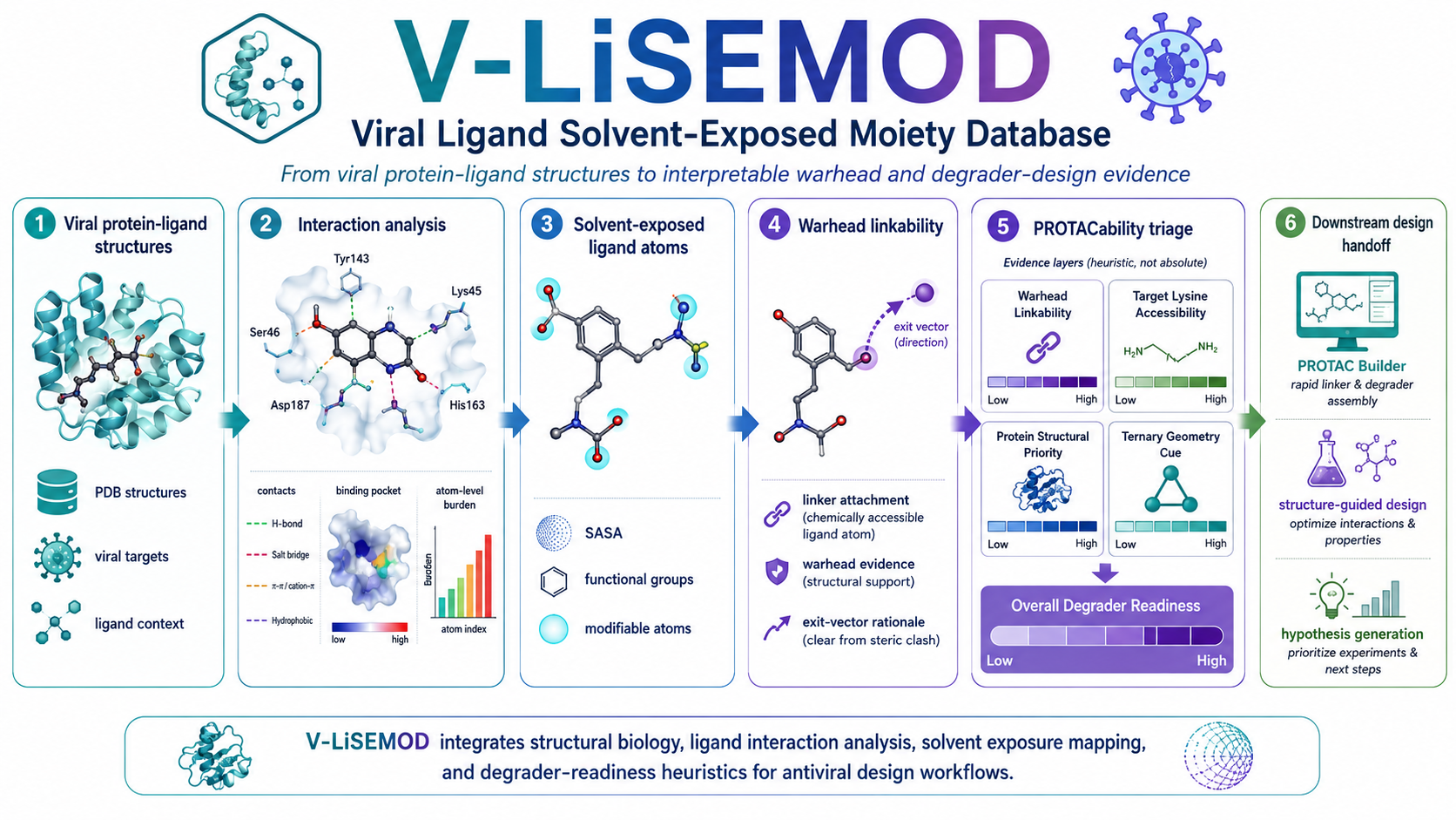 V-LiSEMOD graphical abstract showing the workflow from viral protein-ligand structures to downstream design handoff.