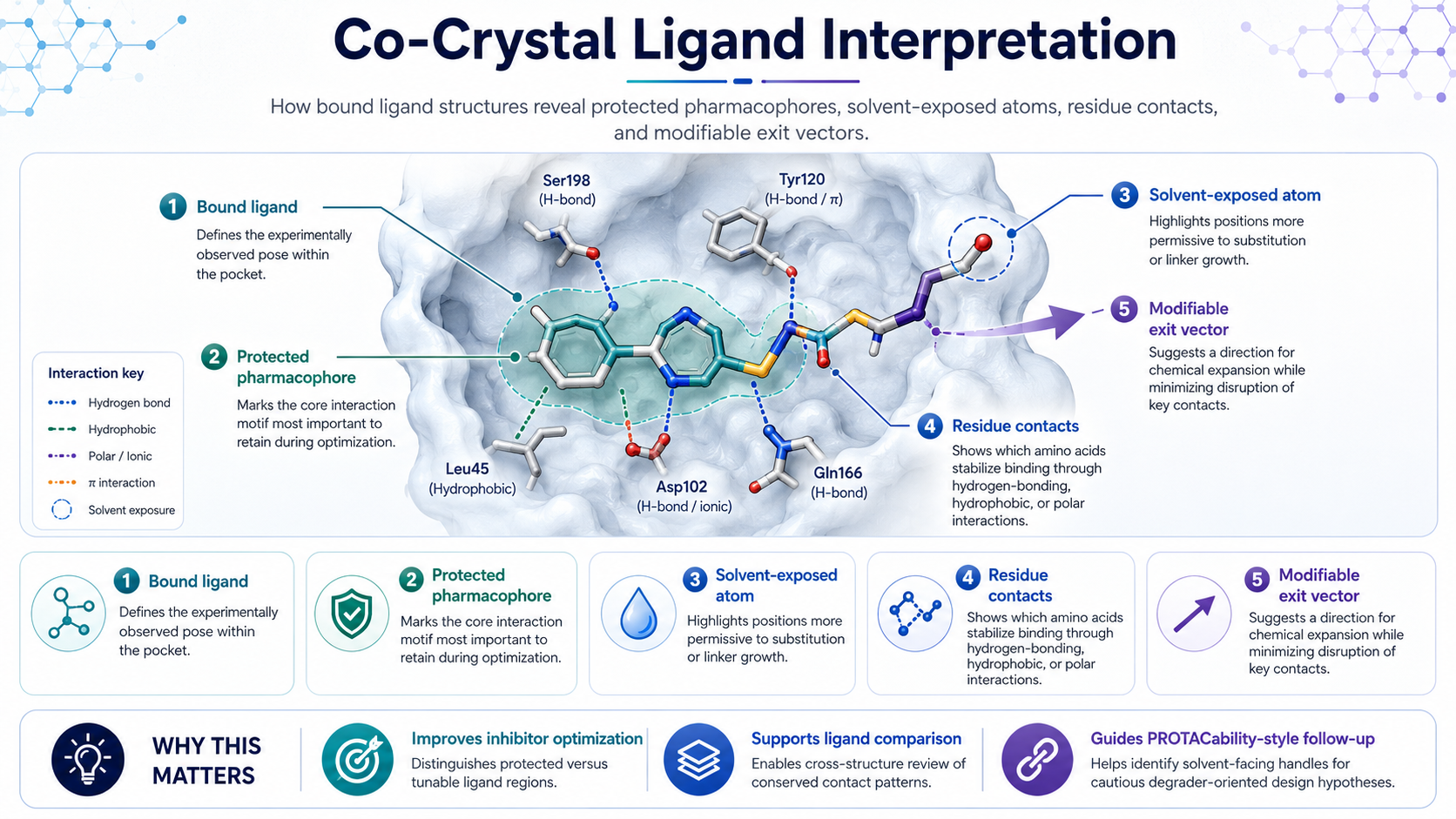 Co-crystal ligand interpretation infographic showing a bound ligand, protected pharmacophore, solvent-exposed atom, residue contacts, and modifiable exit vector.
