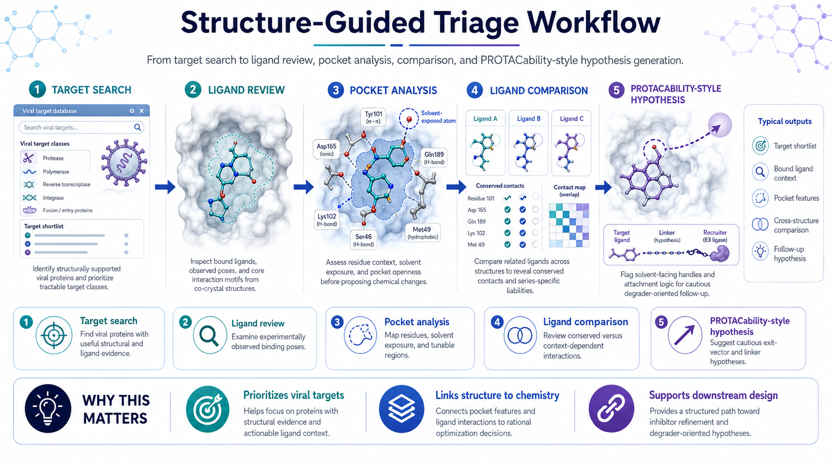 Structure-guided triage workflow infographic showing target search, ligand review, pocket analysis, ligand comparison, and PROTACability-style hypothesis generation.
